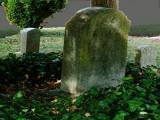 VOA慢速英语:A Story for Halloween: ‘The Boy on Graves-End Road’
