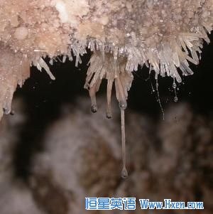 Snottite is a rare form of gooey, dangling, toxic bacteria that looks like mucus.  