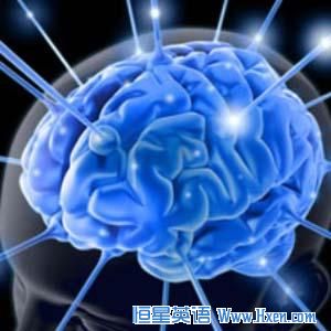 brain