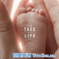 "Tree of Live" contemplates the origins of the universe and explores the meaning of life.