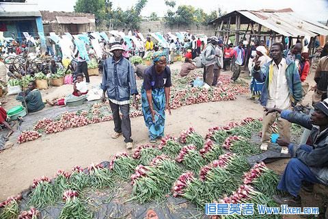 agriculture