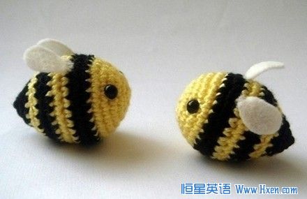 蜜蜂老师