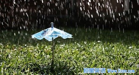 雨