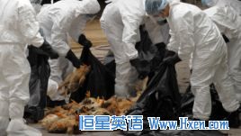When Animals Make People Sick