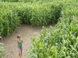 VOA慢速英语:Corn Maze Craze; Skydive and SpaceX; Songs From Above