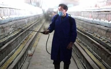 义务与责任: 中国科学家率先查明H7N9病毒来源