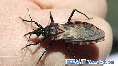 经济学人下载:药物 赠人玫瑰手有余香