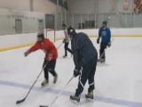 VOA慢速英语:Cheetahs on Ice, Champions in Life