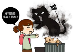 被猫咬伤后鲜为人知的危险