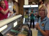 VOA慢速英语:Ice Cream Sweetens Visits to Maryland Farms