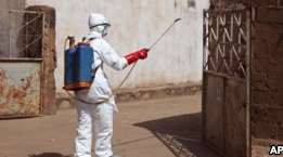 Researchers Develop Real-Time Monitoring for Ebola Outbreaks