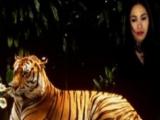 VOA慢速英语:The Lady, or the Tiger? by Frank R. Stockton