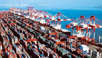 China Focus: China's foreign trade tumbles 10.8 pct in Jan.