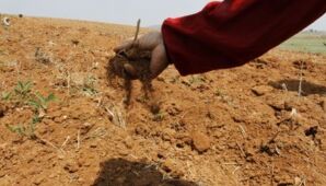North Korea Could Face Food Shortage