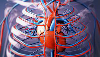 China makes world 1st 3D blood vessel bio-printer