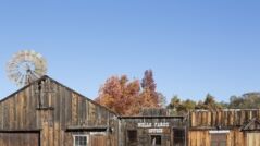 The Celebrated Jumping Frog of Calaveras County