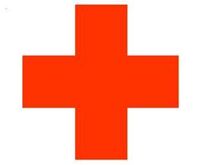 Red Cross Distributes Almond Trees to Gaza