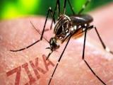 国际英语新闻:Chinese schools urged to strengthen precautions against Zika