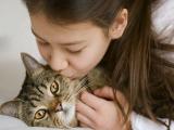 养猫或引发心理健康问题