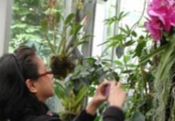 21 Percent of World Plants Could Disappear