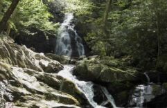 Great Smoky Mountains: America Most Popular National Park