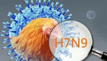 国际英语新闻:Beijing reports H7N9 case
