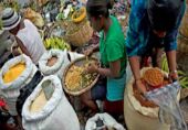 VOA常速英语:Taking the Next Step Toward Global Food Security(翻译)