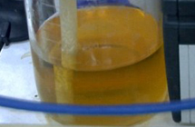 尿液电池