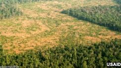 Protecting Cambodia Wildlife
