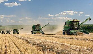 国际英语新闻:China to deepen reform in agricultural sector