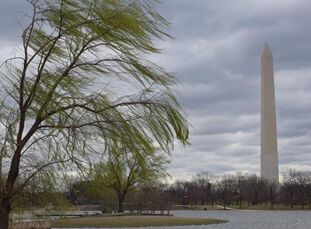 国际英语新闻:Spotlight: waves surging, fights cancelled, power out as windstorm hits U.S. East Coast