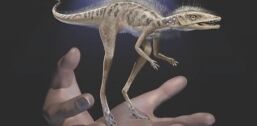 VOA慢速英语:研究表明恐龙可能是从非常小的生物开始进化